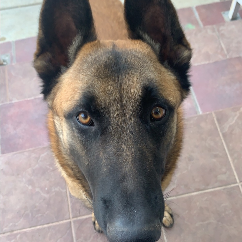 Meet your Posher, Tamara